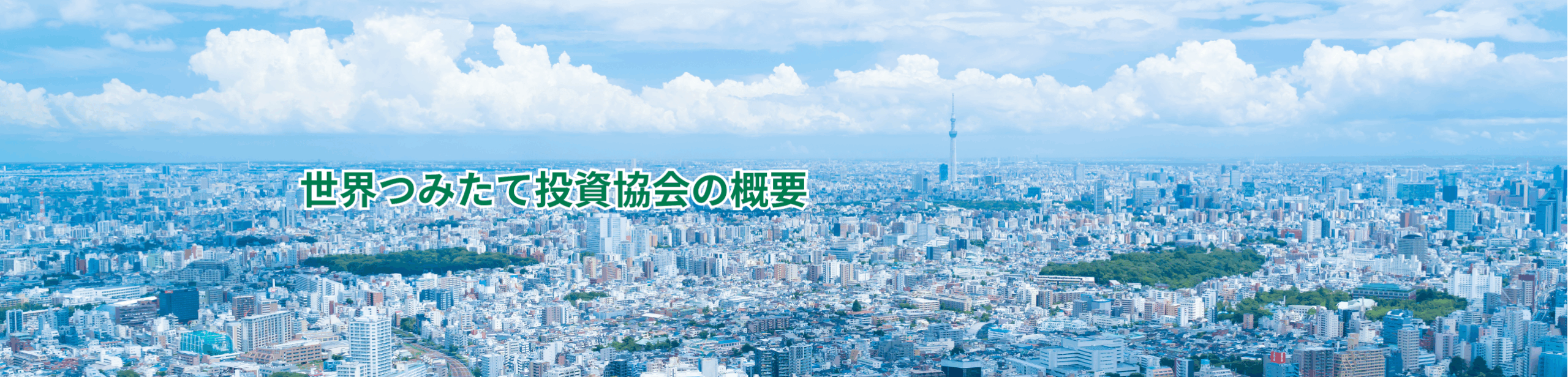 世界つみたて投資協会の概要